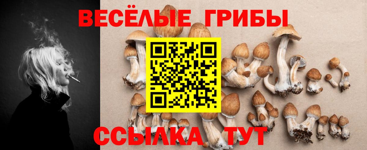 Кунгур  Псилоцибиновые грибы прущие грибы  Вход с VPN 